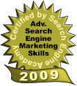 Search Engine Optimization